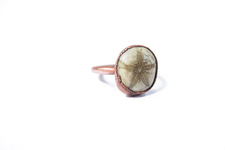 SALE Sand dollar fossil ring | Electroformed fossil