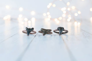 SALE Shark tooth ring | Sharkstooth ring