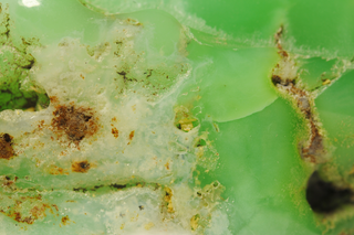 Green stones chrysoprase