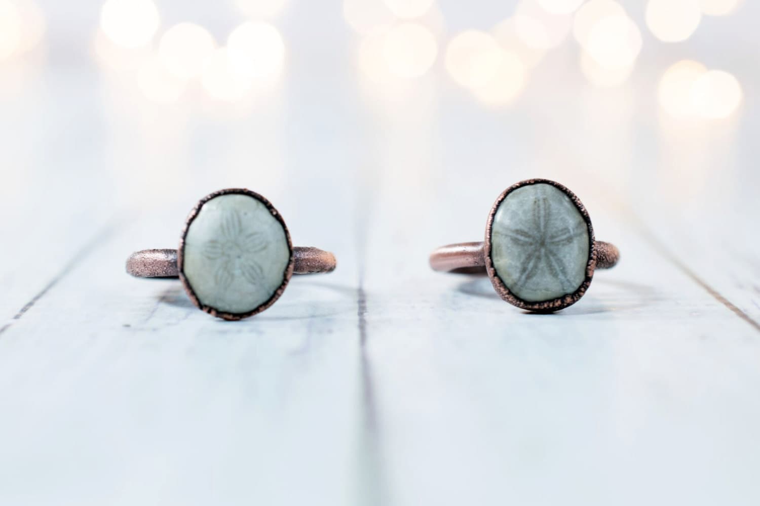 Sand dollar fossil ring | Electroformed fossil jewelry