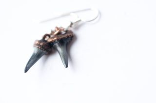 SALE Shark tooth earrings | Shark tooth fossil earrings