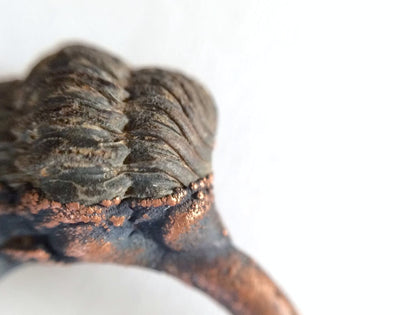 Trilobite fossil ring | Electroformed fossil jewelry