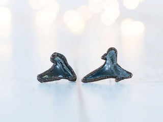 SALE Shark tooth stud earrings | Shark tooth fossil earrings