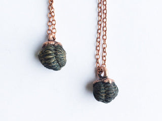 Trilobite fossil necklace | Raw fossil necklace
