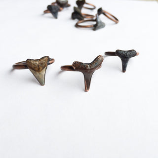 SALE Shark tooth ring | Sharkstooth ring