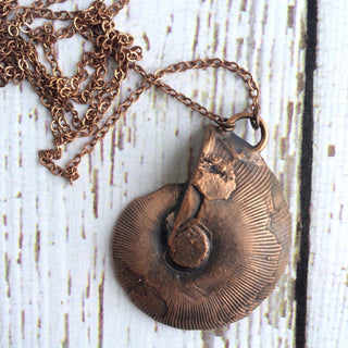 Ammonite fossil necklace | Fossil men's jewelry