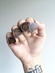 Ammonite fossil ring | Electroformed ring