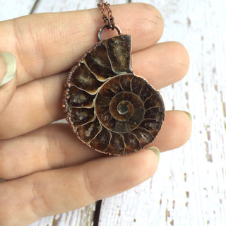 Ammonite fossil necklace | Fossil men's jewelry